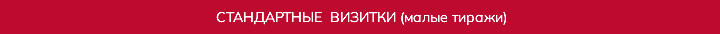  СТАНДАРТНЫЕ ВИЗИТКИ (малые тиражи)